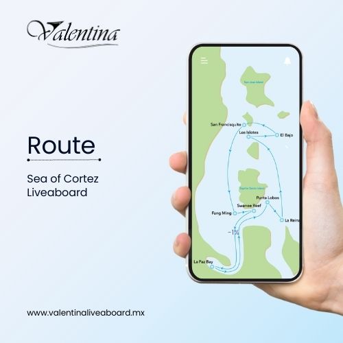 Route-sea-of-cortez